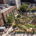The Lasting Impact of Projects in the Bronx, New York