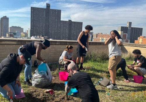 Sustainable and Environmentally Friendly Projects in the Bronx, New York